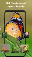 Animal Sounds - Ringtone Maker постер