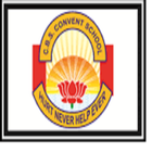C. B. S. SCHOOL ADMIN APP icono