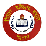 BIHAR PUBLIC SCHOOL SIWAN