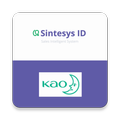 Sintesys KAO