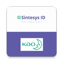 Sintesys KAO APK