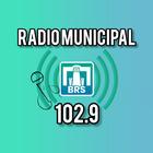 Radio Municipal BRS icon