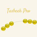 Tasbeeh Pro-APK