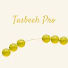 Tasbeeh Pro ícone