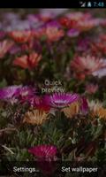 Flowers - Changing Wallpaper تصوير الشاشة 3