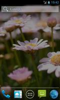 Flowers - Changing Wallpaper الملصق