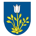 Dolná Tižina