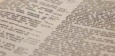 Bible - Offline translations