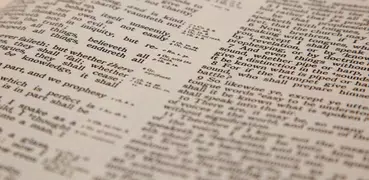 Bible - Offline translations