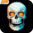 Skull 3D Video Theme Wallpaper