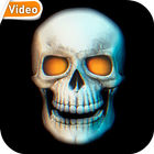 Skull 3D Video Theme Wallpaper icono