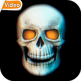 Skull 3D Video Theme Wallpaper 图标