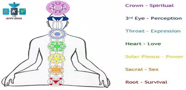 Chakras / சக்கரங்கள்