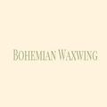 Bohemian Waxwing