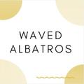 Waved Albatros