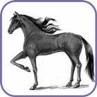 Как нарисовать реалистичную лошадь иконка