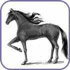 How to draw a horse آئیکن