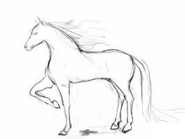 كيفية رسم الحصان واقعية تصوير الشاشة 3