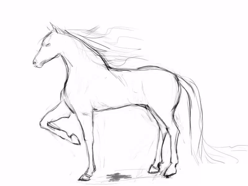 Como Desenhar um Cavalo Realista (com Imagens) - wikiHow