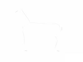 پوستر How to draw a horse