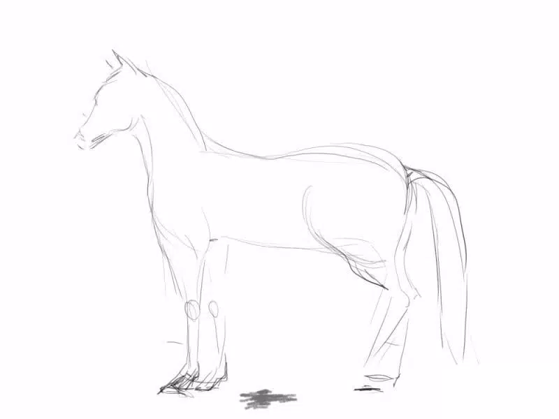 Download do APK de Como desenhar um cavalo realista para Android