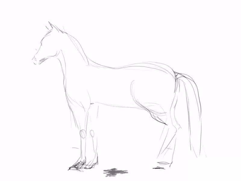 como desenhar um cavalo realista - speed drawing - Curso de