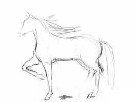 How to draw a horse syot layar 2