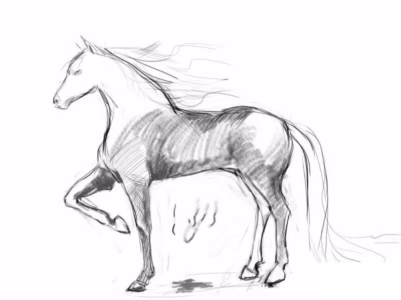 Como desenhar um cavalo realista de pé