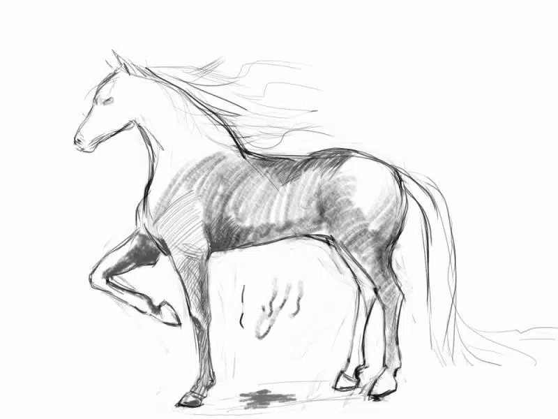 Como Desenhar um Cavalo Realista (com Imagens) - wikiHow