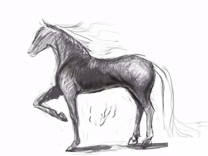 Como Desenhar um Cavalo Realista (com Imagens) - wikiHow