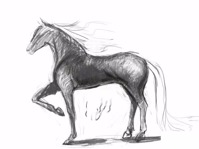 Download do APK de Como desenhar um cavalo realista para Android