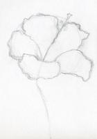 How to draw realistic flowers syot layar 1