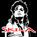 RadioSkyla APK
