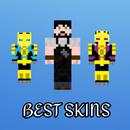 Skins de craftsman APK