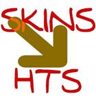 Skins HTS,HBS,GTS icône