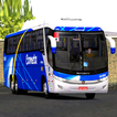 Bus Brasil