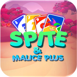 Skipo Plus - Card Game icône