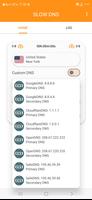 SLOW DNS ảnh chụp màn hình 2