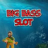 Big bass slot