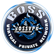 ikon BossVPN Reborn