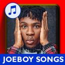 Joeboy Songs And Music APK