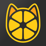 Petovik — Closer to your pet