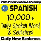 Learn Spanish Daily Sentences & Conversation icône