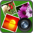 Love Collage Maker APK