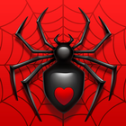 Spider Solitaire 아이콘