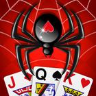 Spider Solitaire Jogo Clássico ícone