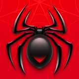 Spider Solitaire icône