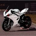 Motor Sport Wallpapers