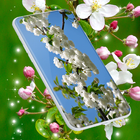 Cherry Blossom Live Wallpaper أيقونة