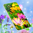 Spring Flowers Live Wallpaper icône